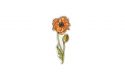 Holzbrosche Icelandic Poppy Brooch