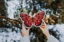 Holzpuzzle Schmetterling